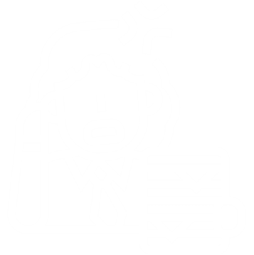 SCT Sluggish Cognitive Tempo